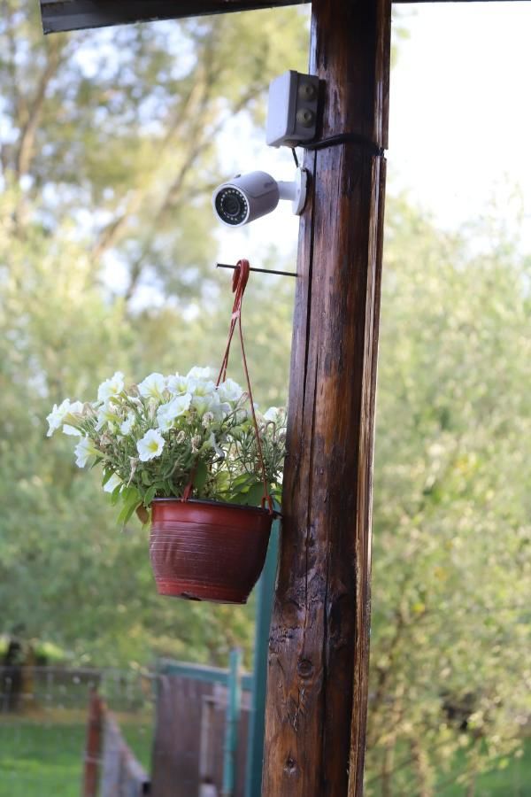 Апартаменты Apartments Obala Подгорица-18