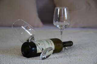 Апартаменты Apartments Obala Подгорица Апартаменты с видом на сад-2